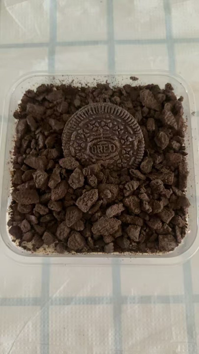 奥利奥提拉米苏