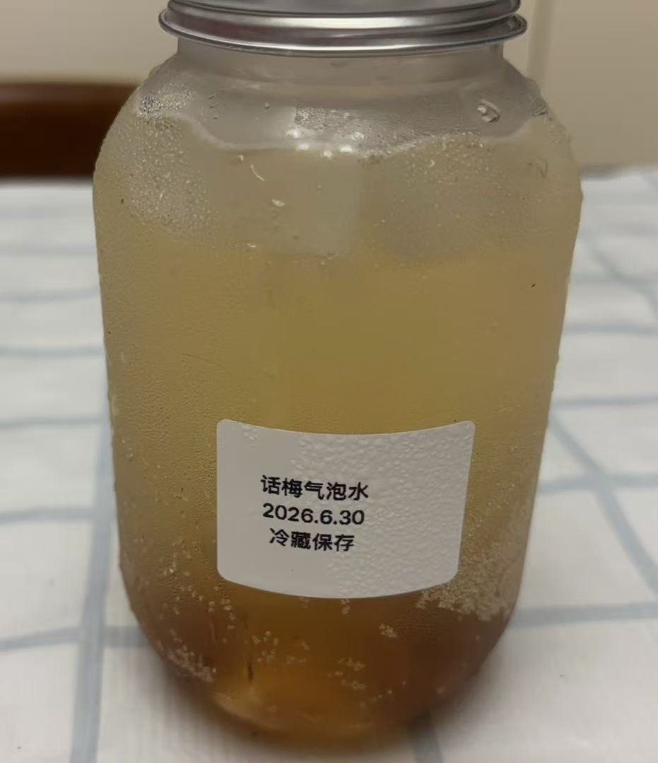 话梅气泡水
